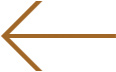 Arrow Left